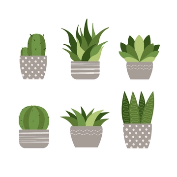 Free Succulent Plant Clipart Template to Edit Online