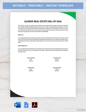 Illinois Real Estate Bill of Sale Template