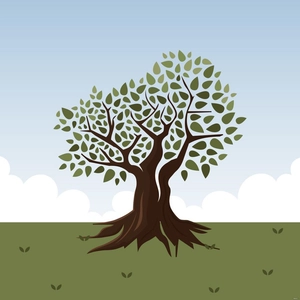 Tree Of Life Vector