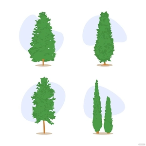 Cypress Tree Vector