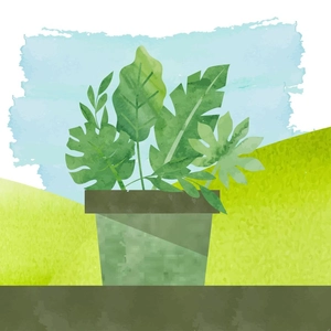 Watercolor Leaves Illustration