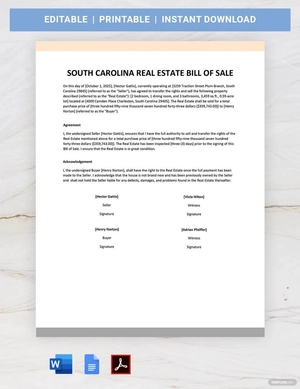 South Carolina Real Estate Bill of Sale Template