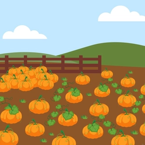 Pumpkin Patch Vector