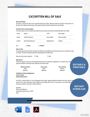 Cat / Kitten Bill of Sale Template