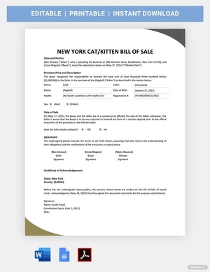 New York Cat / Kitten Bill Of Sale Template