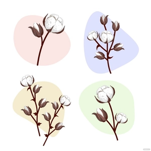 Cotton Plant Vector