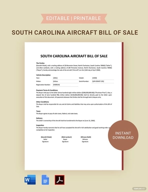 South Carolina Aircraft / Airplane Bill Of Sale Template