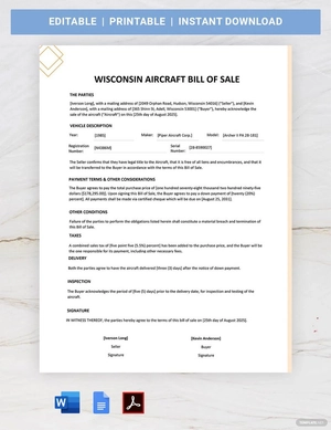 Wisconsin Aircraft / Airplane Bill of Sale Template