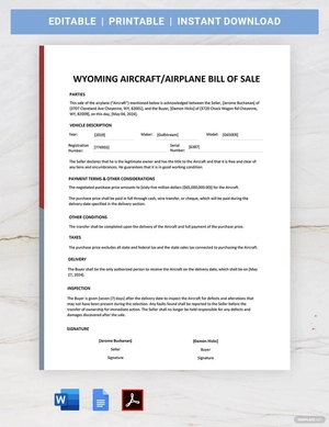 Wyoming Aircraft / Airplane Bill of Sale Template