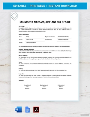 Minnesota Aircraft / Airplane Bill of Sale Template