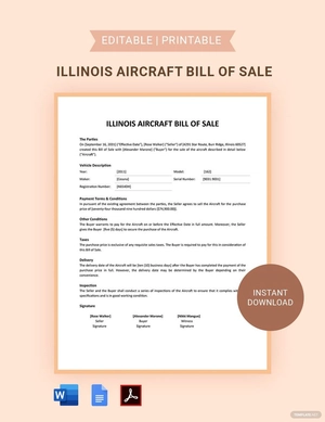 Illinois Aircraft / Airplane Bill of Sale Template
