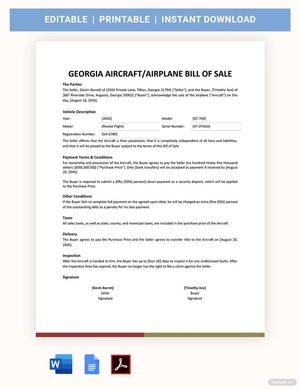 Georgia Aircraft / Airplane Bill of Sale Form Template