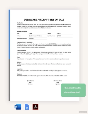 Delaware Aircraft / Airplane Bill Of Sale Template