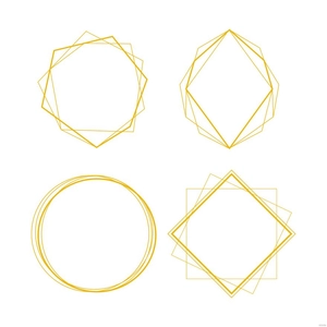 Geometric Frame Vector