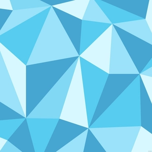 Geometric Texture Vector