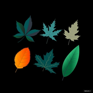 Maple Leaves Vector