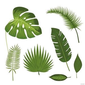 Tropical Leaves Vector
