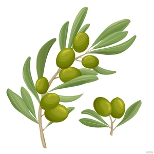 Olive Leaf Vector