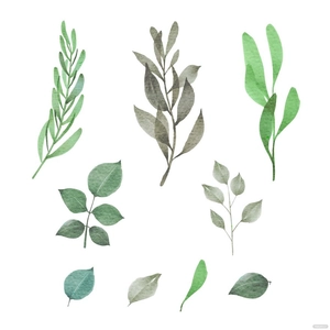 Watercolor Leaves Vector