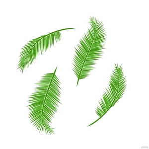 Coconut Leaf Lector Clipart