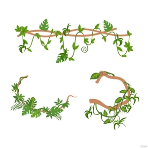 Leaf Vine Vector