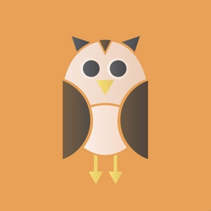 Geometric Owl Illustration