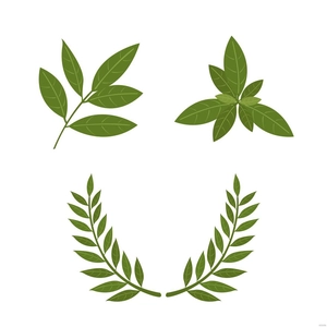 Laurel Leaves Vector