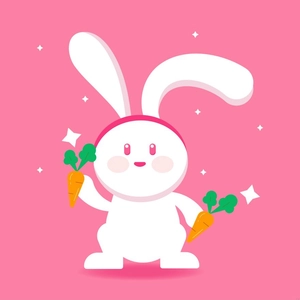 Rabbit Illustration