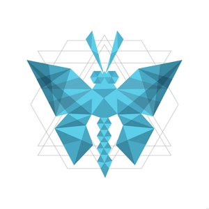 Butterfly Geometric Illustration