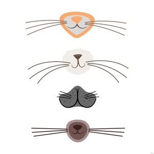 Cat Whiskers Vector