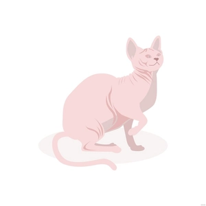 Sphynx Cat Vector