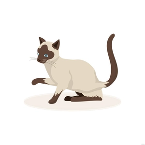 Siamese Cat Vector