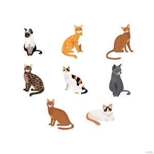 Cat Sitting Vector