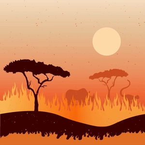 Forest Fire Illustration