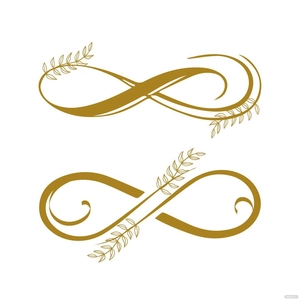 Fancy Infinity Vector