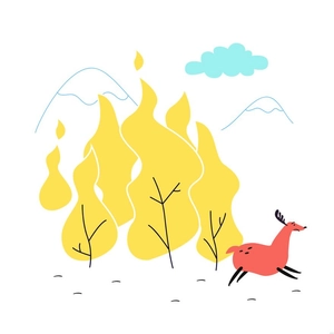 Wildland Fire Illustration