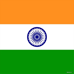 Square Indian Flag Vector