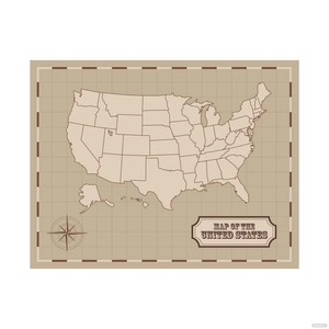 Vintage USA Map Vector
