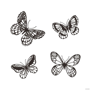 White Butterfly Vector