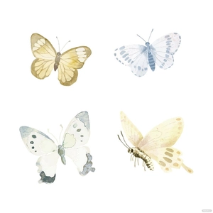 Watercolor Butterfly Vector