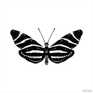 Zebra Butterfly Vector
