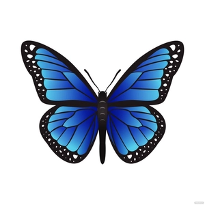 Realistic Butterfly Vector