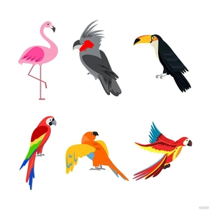 Tropical Bird Vector