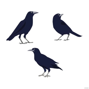 Raven Bird Vector
