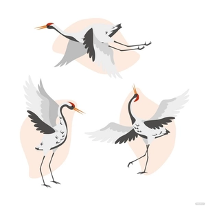 Crane Bird Vector