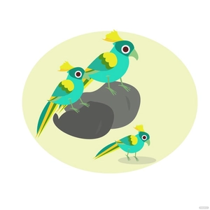 Colorful Bird Vector