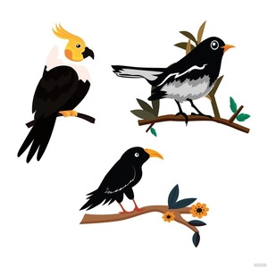 Black Bird Vector