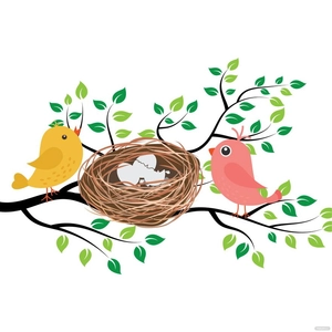 Bird Nest Vector