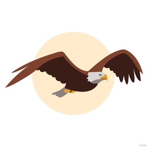 Bald Eagle Vector