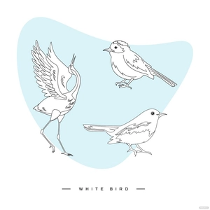 White Bird Vector
